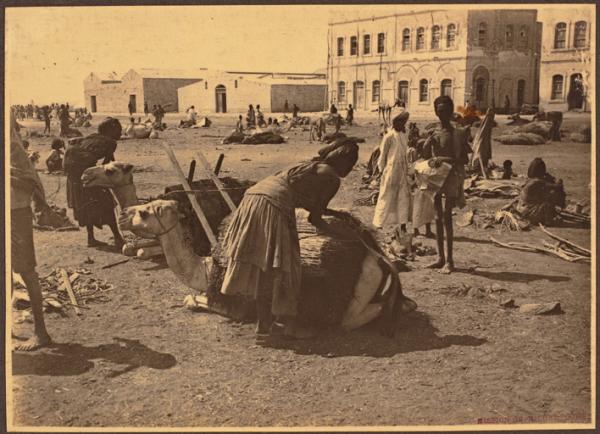 Chargement des animaux à Djibouti en 1922