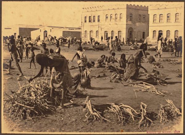 Djibouti. Un autre coin du marché au bois en 1922