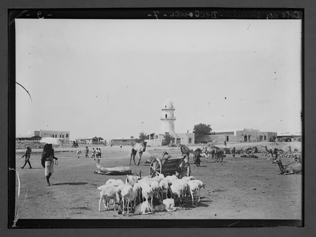 Place Mahamoud Harbi entre 1910-1930